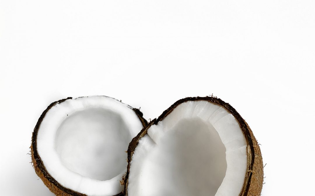 Frische Kokosmilch (und mehr) selbst gemacht